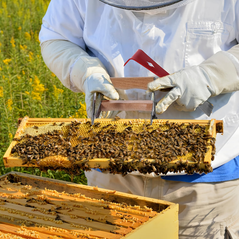 12PCS Beekeeping Supplies, Bee Keeping Starter Kit, Beekeeping Gloves, Bee Hive Equipment, Beekeeping Tools and Supplies Bee Keeping Supplies-All for Beekeepers