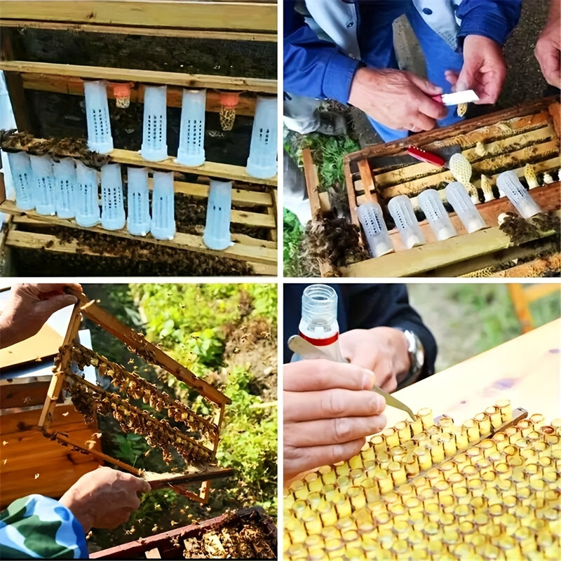 20 Sets Bee Queen Cage Rearing Cup With 99pcs Tag Stickers Beekeeping Equipment Insects Tools