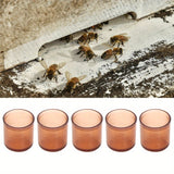 500pcs Durable Plastic Queen Rearing Cell Cups for Beekeeping, Brown Honey Bee Hive Frames Accessories