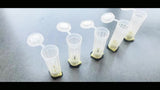 20 Sets Bee Queen Cage Rearing Cup With 99pcs Tag Stickers Beekeeping Equipment Insects Tools