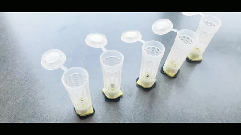 20 Sets Bee Queen Cage Rearing Cup With 99pcs Tag Stickers Beekeeping Equipment Insects Tools