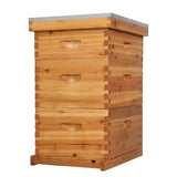 VINGLI Comprehensive Beekeeping Starter Kit - 10-Frame Hive with Wax-Enriched Frames and Ready-Made Beeswax Foundations, Triple Layer Construction for Enhanced Apiary Management