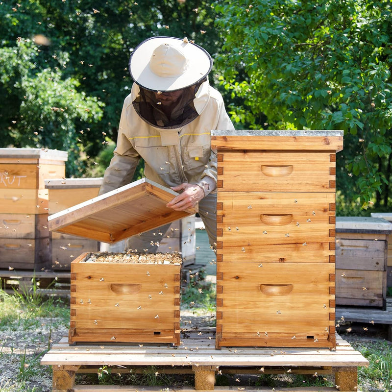 VINGLI Comprehensive Beekeeping Starter Kit - 10-Frame Hive with Wax-Enriched Frames and Ready-Made Beeswax Foundations, Triple Layer Construction for Enhanced Apiary Management