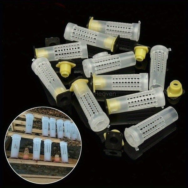 10pcs Beekeeping Bee Plastic Queen Rearing Cage Cup Box Protection Cover Catcher Protective Base Bees Tools Supplies Equipment