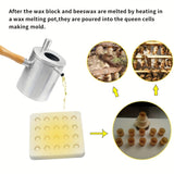 1pc Silicone Queen Cup Mold, 20 Holes, Non-Electric Beekeeping Queen Bee Rearing Tool, Durable Beekeeping Supplies