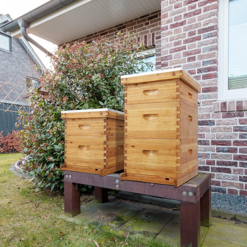 VINGLI Comprehensive Beekeeping Starter Kit - 10-Frame Hive with Wax-Enriched Frames and Ready-Made Beeswax Foundations, Triple Layer Construction for Enhanced Apiary Management