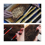 Queen Bee Grafting Tools for Beekeeping, 10 - Piece Set, Includes Shift Needles for Queen Larva Rearing and Feeding in Bee Hives