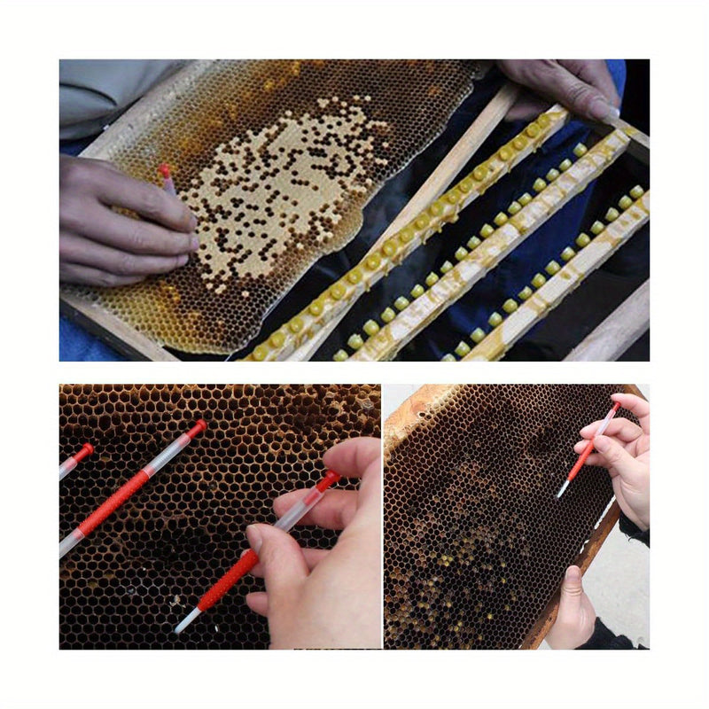 Queen Bee Grafting Tools for Beekeeping, 10 - Piece Set, Includes Shift Needles for Queen Larva Rearing and Feeding in Bee Hives