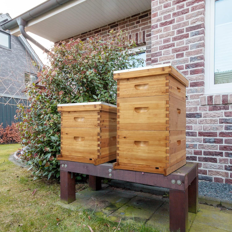 VINGLI Comprehensive Beekeeping Starter Kit - 10-Frame Hive with Wax-Enriched Frames and Ready-Made Beeswax Foundations, Triple Layer Construction for Enhanced Apiary Management