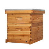 VINGLI Comprehensive Beekeeping Starter Kit - 10-Frame Hive with Wax-Enriched Frames and Ready-Made Beeswax Foundations, Triple Layer Construction for Enhanced Apiary Management