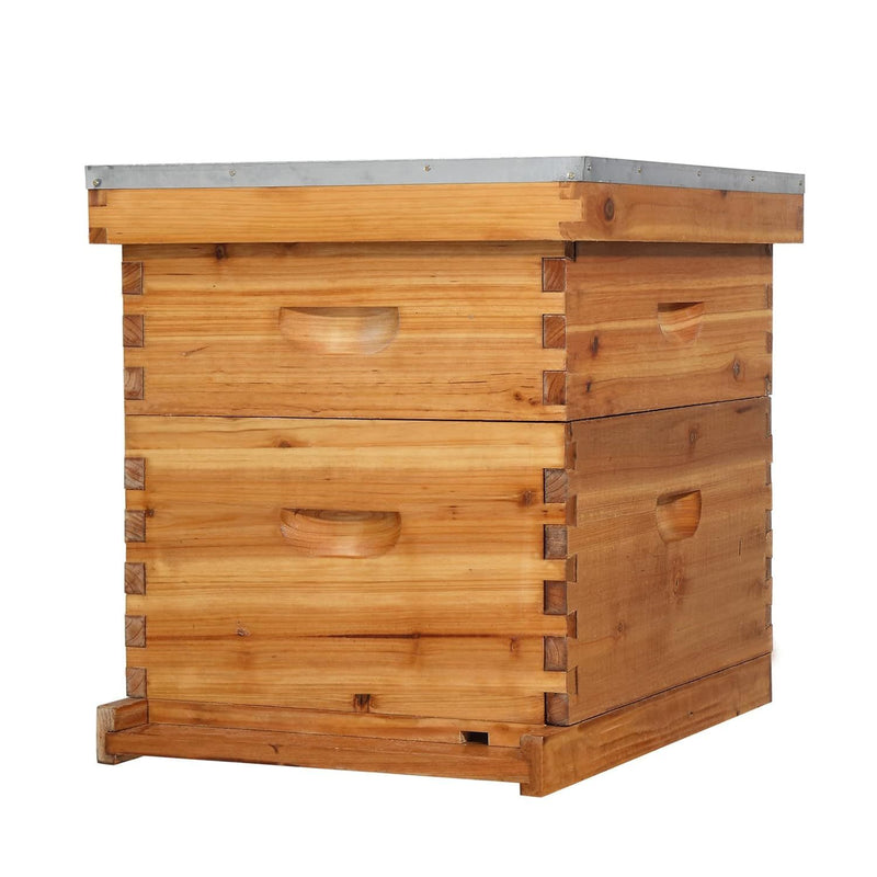 VINGLI Comprehensive Beekeeping Starter Kit - 10-Frame Hive with Wax-Enriched Frames and Ready-Made Beeswax Foundations, Triple Layer Construction for Enhanced Apiary Management