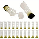 Queen Bee Grafting Tools for Beekeeping, 10 - Piece Set, Includes Shift Needles for Queen Larva Rearing and Feeding in Bee Hives