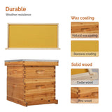 VINGLI Comprehensive Beekeeping Starter Kit - 10-Frame Hive with Wax-Enriched Frames and Ready-Made Beeswax Foundations, Triple Layer Construction for Enhanced Apiary Management