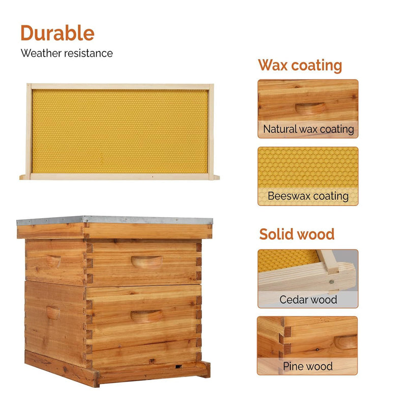 VINGLI Comprehensive Beekeeping Starter Kit - 10-Frame Hive with Wax-Enriched Frames and Ready-Made Beeswax Foundations, Triple Layer Construction for Enhanced Apiary Management