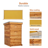 VINGLI Comprehensive Beekeeping Starter Kit - 10-Frame Hive with Wax-Enriched Frames and Ready-Made Beeswax Foundations, Triple Layer Construction for Enhanced Apiary Management