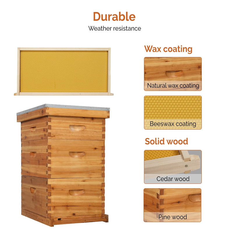 VINGLI Comprehensive Beekeeping Starter Kit - 10-Frame Hive with Wax-Enriched Frames and Ready-Made Beeswax Foundations, Triple Layer Construction for Enhanced Apiary Management