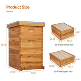 VINGLI Comprehensive Beekeeping Starter Kit - 10-Frame Hive with Wax-Enriched Frames and Ready-Made Beeswax Foundations, Triple Layer Construction for Enhanced Apiary Management