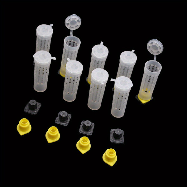 10pcs Beekeeping Bee Plastic Queen Rearing Cage Cup Box Protection Cover Catcher Protective Base Bees Tools Supplies Equipment