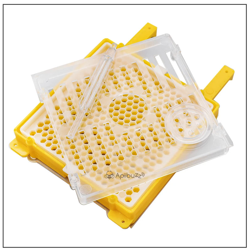 Karl Jenter Queen Rearing Starter Kits Queen Bee Breeding System Bee Keeping Tool Beekeeping Equipment Apiculture Apicultura