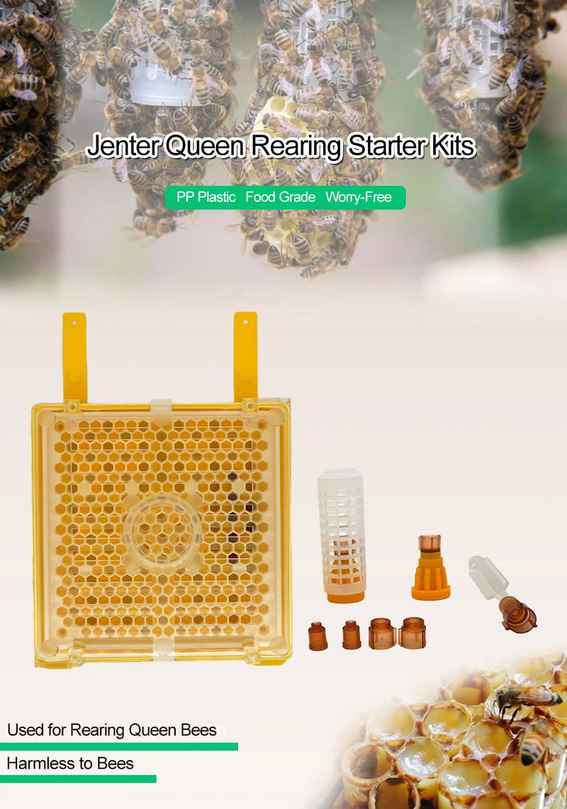 Karl Jenter Queen Rearing Starter Kits Queen Bee Breeding System Bee Keeping Tool Beekeeping Equipment Apiculture Apicultura