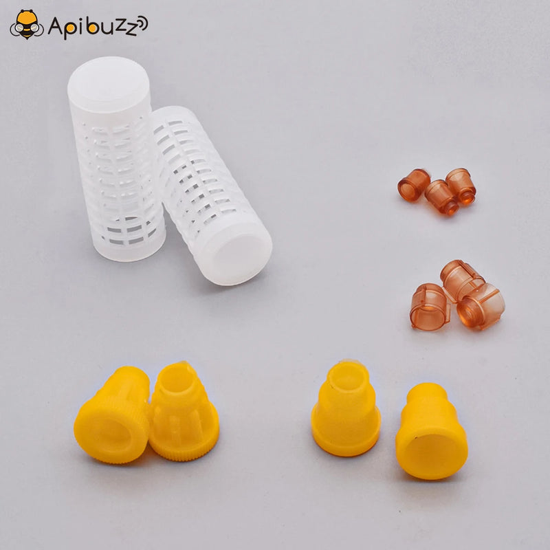 Karl Jenter Queen Rearing Starter Kits Queen Bee Breeding System Bee Keeping Tool Beekeeping Equipment Apiculture Apicultura