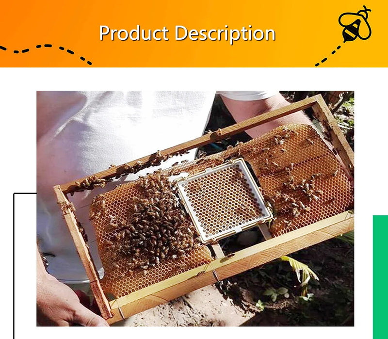 Karl Jenter Queen Rearing Starter Kits Queen Bee Breeding System Bee Keeping Tool Beekeeping Equipment Apiculture Apicultura