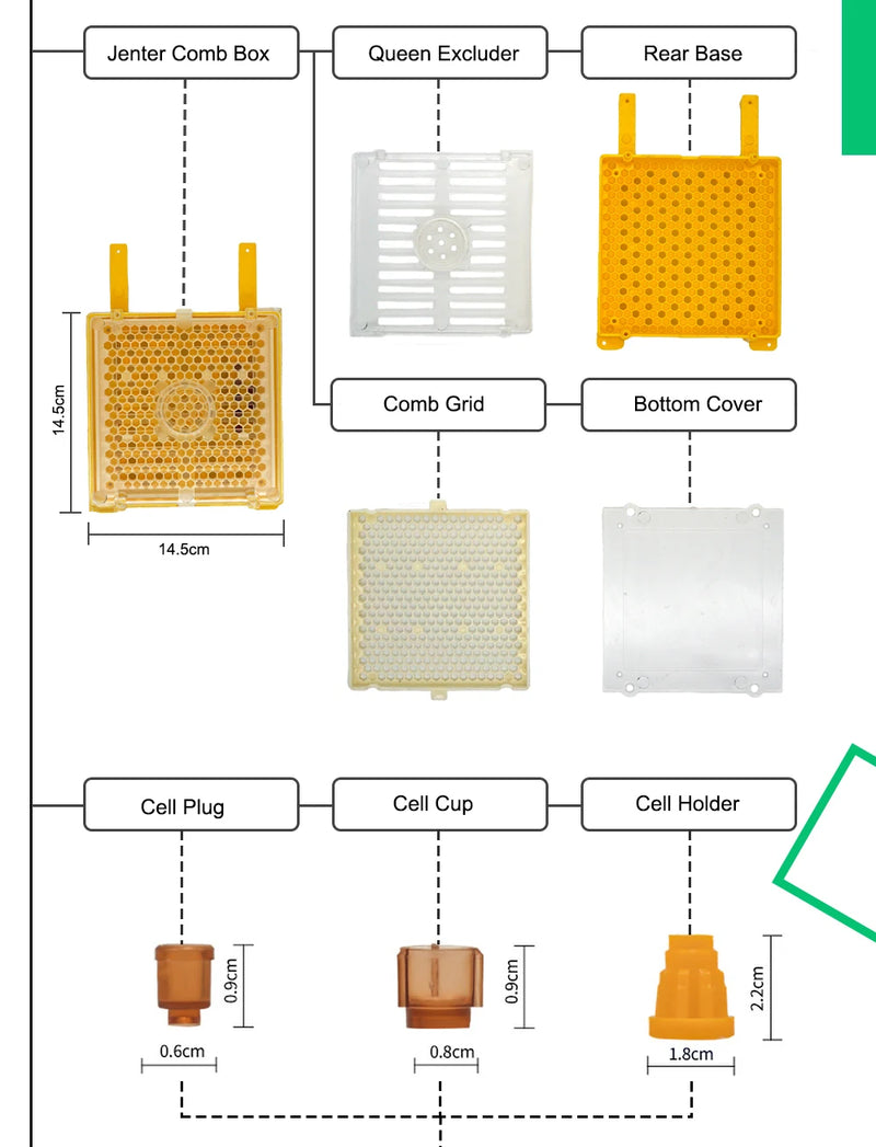 Karl Jenter Queen Rearing Starter Kits Queen Bee Breeding System Bee Keeping Tool Beekeeping Equipment Apiculture Apicultura