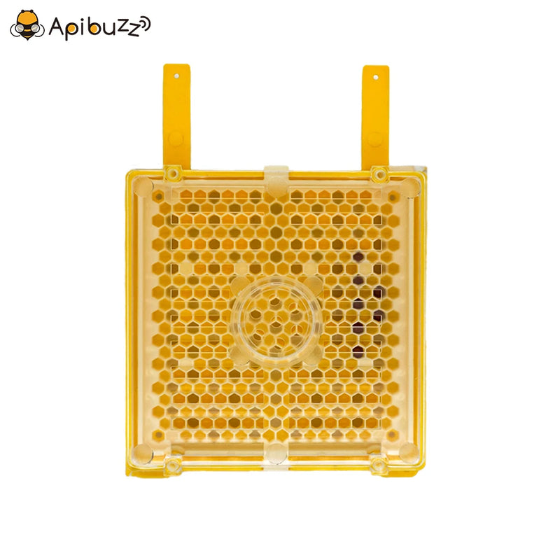 Karl Jenter Queen Rearing Starter Kits Queen Bee Breeding System Bee Keeping Tool Beekeeping Equipment Apiculture Apicultura