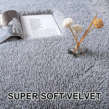 Luxury Velvet Fluffy Carpet Soft Children Rugs Room Mat Modern Shaggy Area Rug for Bedroom Bedside Home Decor