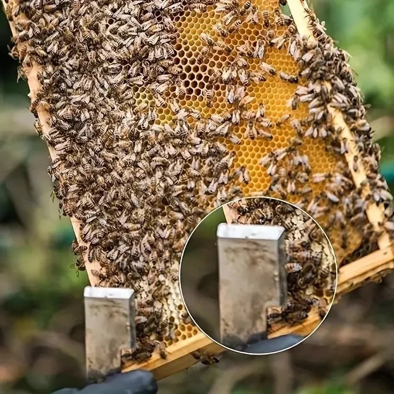 Even Size Beekeeping Cutting Tools Honeycomb Knife Export Utility Separator Multifunctional Bee Tool Stainless Steel Scraper