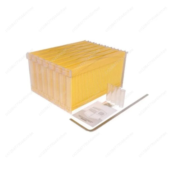 Beekeeping Equipment Automatic Self Flowing Honey Beehive Rack Set