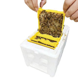 Queen Bee Breeding Box Bee Mating Box Foam Bee Hive Box Beekeeper Garden Pollination Box Bee Breeding Case Beekeeping Equipment