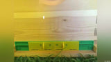 10 Pack BeeHiveGuard Plastic Mouse Guards - Beehive Entrance Reducer for 8 Frame Hives - Beekeeping Hive Entrance Protector