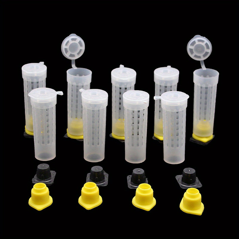 10pcs Beekeeping Bee Plastic Queen Rearing Cage Cup Box Protection Cover Catcher Protective Base Bees Tools Supplies Equipment