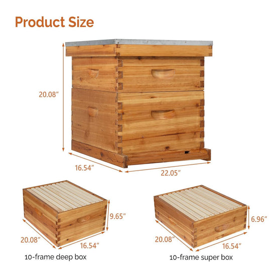 VINGLI Comprehensive Beekeeping Starter Kit - 10-Frame Hive with Wax-Enriched Frames and Ready-Made Beeswax Foundations, Triple Layer Construction for Enhanced Apiary Management