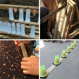 20 Sets Bee Queen Cage Rearing Cup With 99pcs Tag Stickers Beekeeping Equipment Insects Tools