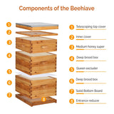 VINGLI Comprehensive Beekeeping Starter Kit - 10-Frame Hive with Wax-Enriched Frames and Ready-Made Beeswax Foundations, Triple Layer Construction for Enhanced Apiary Management