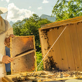 12PCS Beekeeping Supplies, Bee Keeping Starter Kit, Beekeeping Gloves, Bee Hive Equipment, Beekeeping Tools and Supplies Bee Keeping Supplies-All for Beekeepers