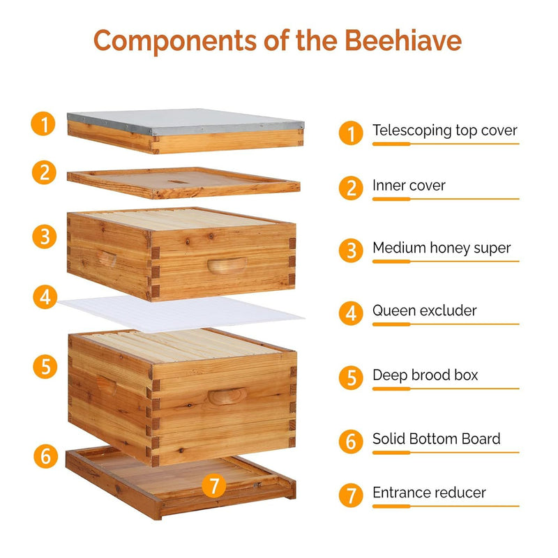 VINGLI Comprehensive Beekeeping Starter Kit - 10-Frame Hive with Wax-Enriched Frames and Ready-Made Beeswax Foundations, Triple Layer Construction for Enhanced Apiary Management